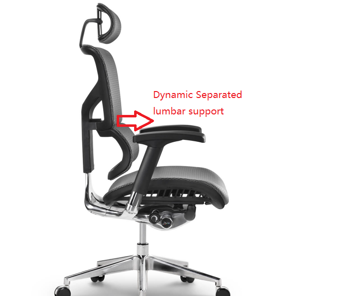 What kind of chair is a best ergonomic chair for back pain?cid=5