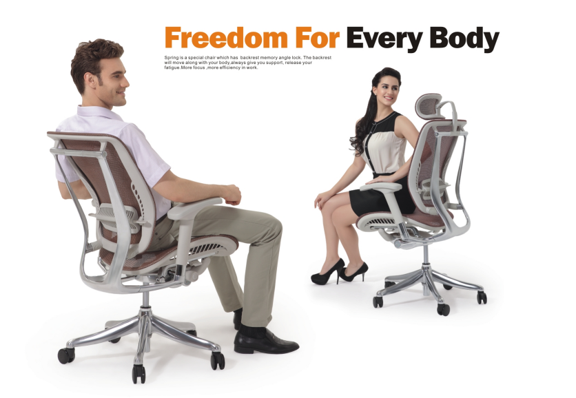  6 simple tips for evaluating a ergonomic mesh office chair