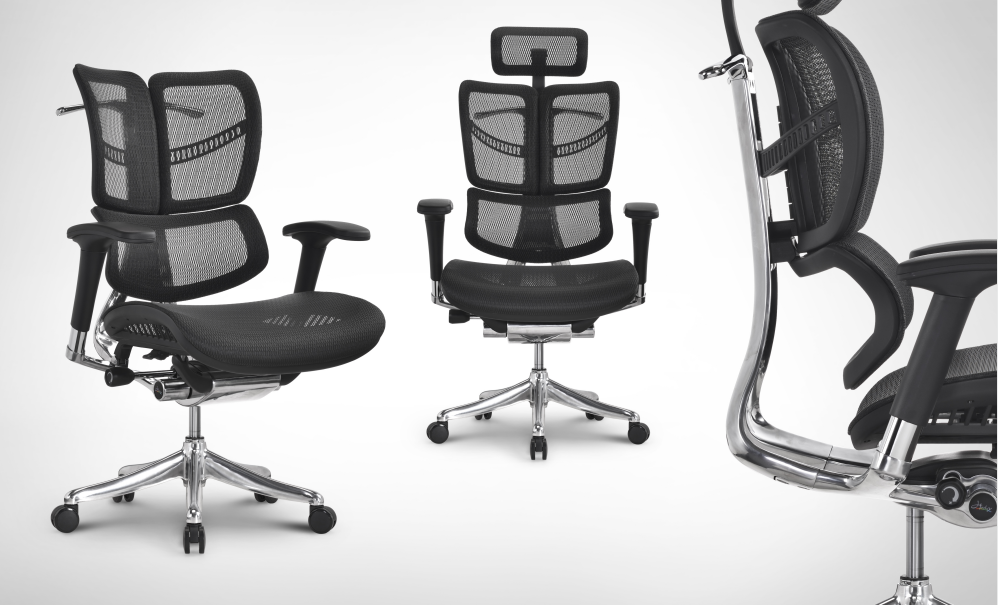 Why Developers are Upgrading to Ergonomic Chairs with Lumbar Support?cid=5