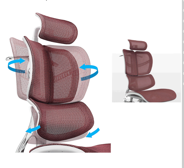 Why Developers are Upgrading to Ergonomic Chairs with Lumbar Support?cid=5