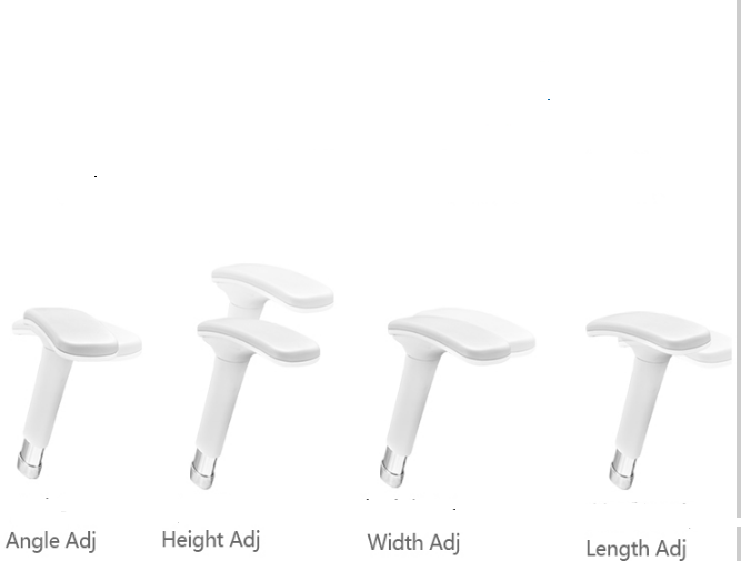 Why Developers are Upgrading to Ergonomic Chairs with Lumbar Support?cid=5