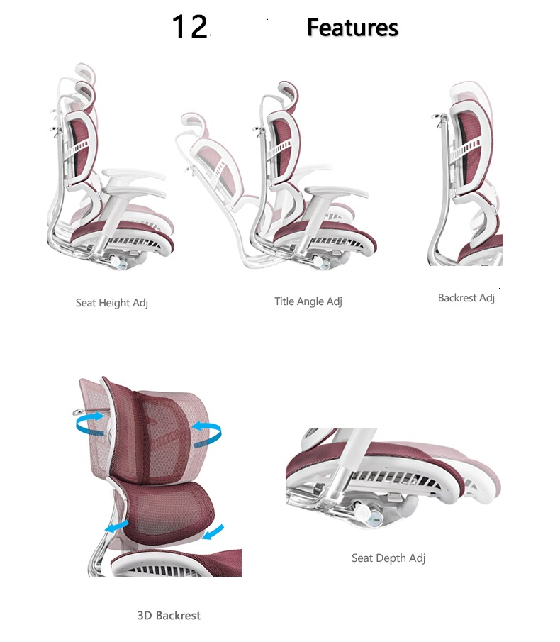 Why Developers are Upgrading to Ergonomic Chairs with Lumbar Support?cid=5