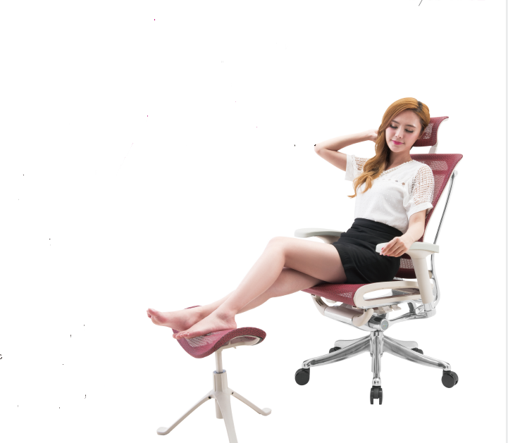 Why are ergonomic chairs so expensive?cid=5