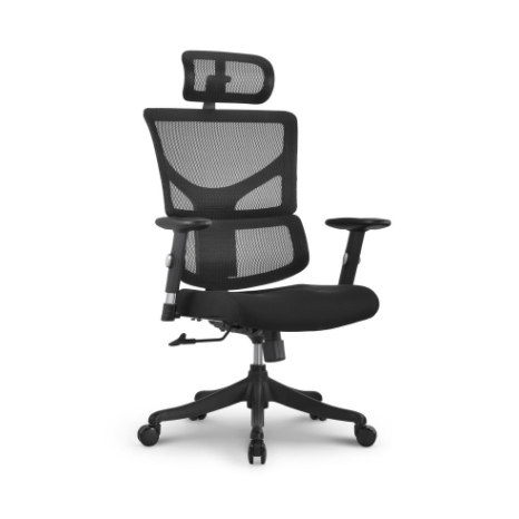 Sail ergonomic chairs SAE-MF01