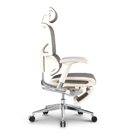 Sail ergonomic chairs RSAM01-G