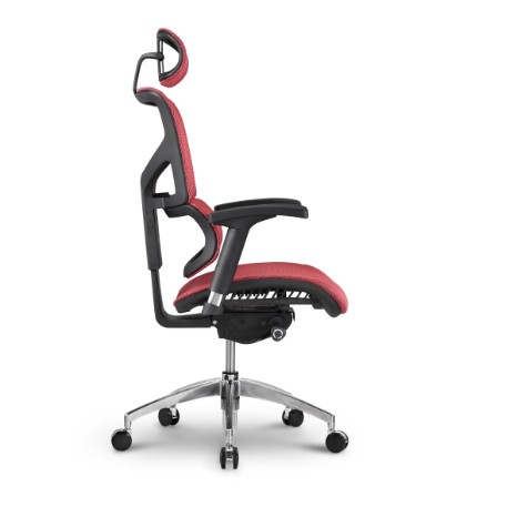 Sail ergonomic chairs SAS-M01